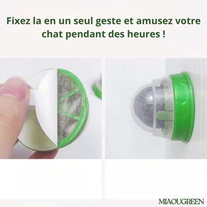 MIAOU BALL murale & naturelle pour Chat