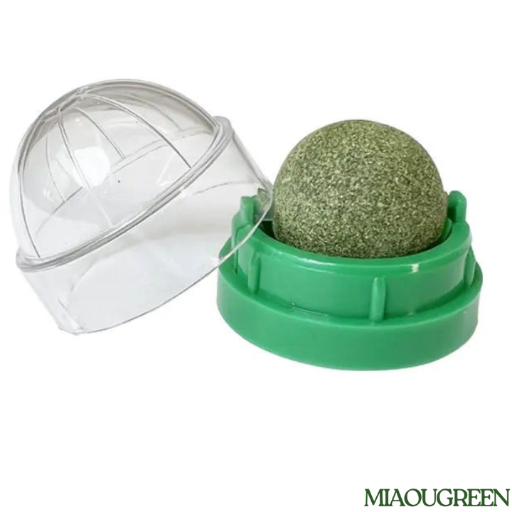 MIAOU BALL murale & naturelle pour Chat