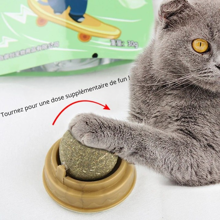 MIAOU BALL murale & naturelle pour Chat