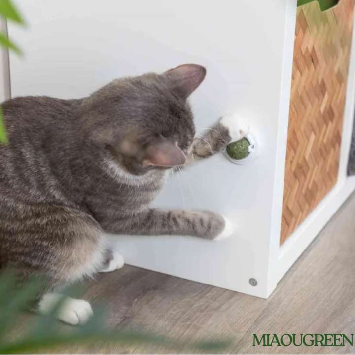 MIAOU BALL murale & naturelle pour Chat
