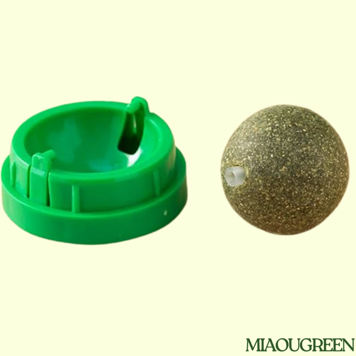 MIAOU BALL murale & naturelle pour Chat